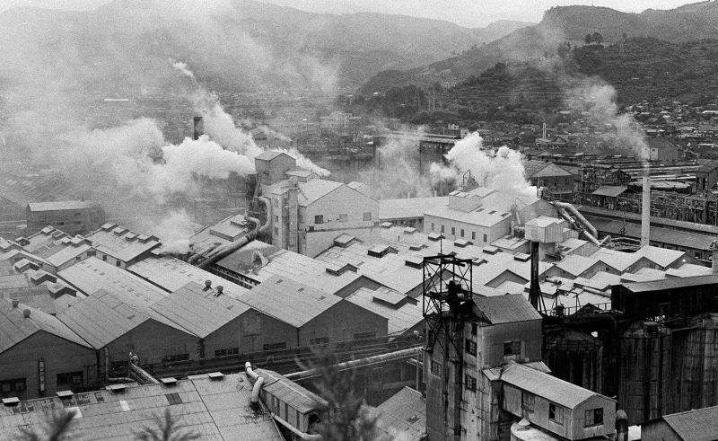bệnh minamata bệnh minamata